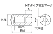 キャビティスタッド(CA型)NTタイプ図