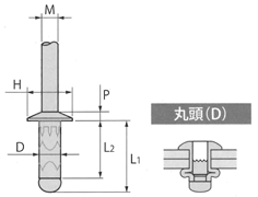 SSD■SSHR(丸頭) 図