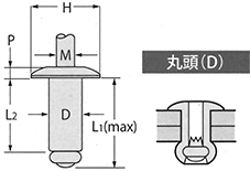 SSD■BS(丸頭)SSK■BS(丸頭) 図